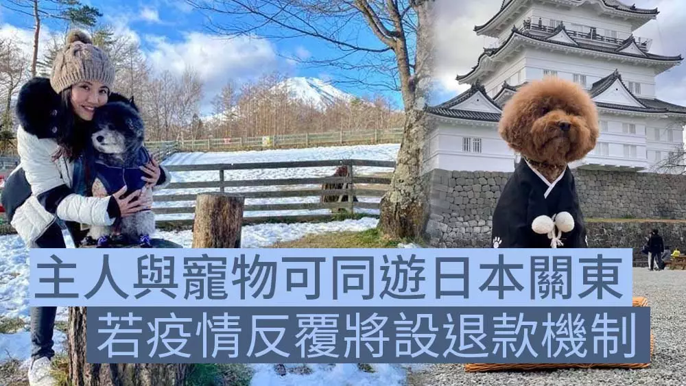 「Pet Holidays 寵物假期」圖片