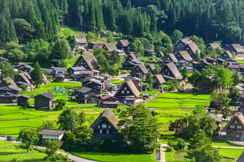 合掌村的古建築特色,是茅草屋頂像雙手合十造型。網上圖片