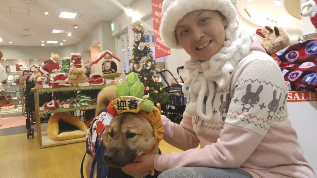 「Pet Holidays 寵物假期」圖片