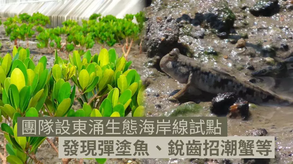 網誌圖片