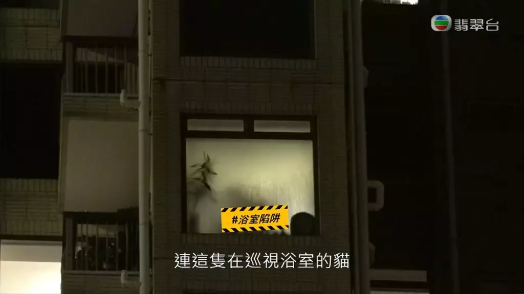 植物好明顯。