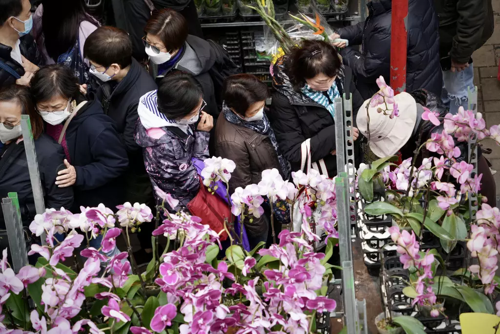 大批市民逛花市。
