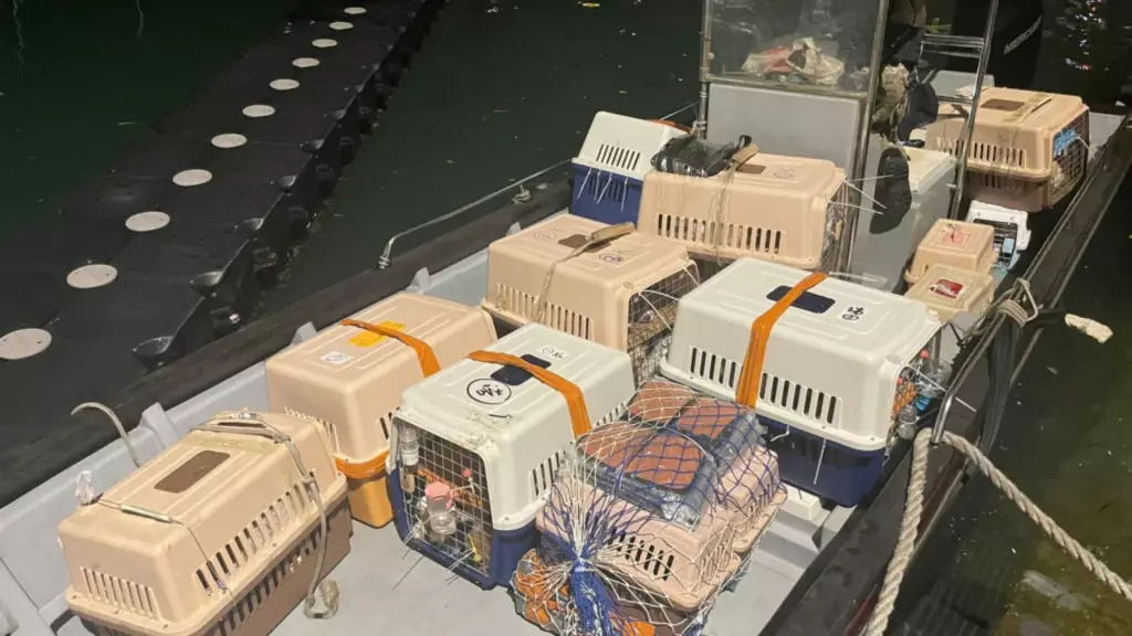 籠內分上下兩層嚴重擠逼動物一隻疊一隻。資料圖片