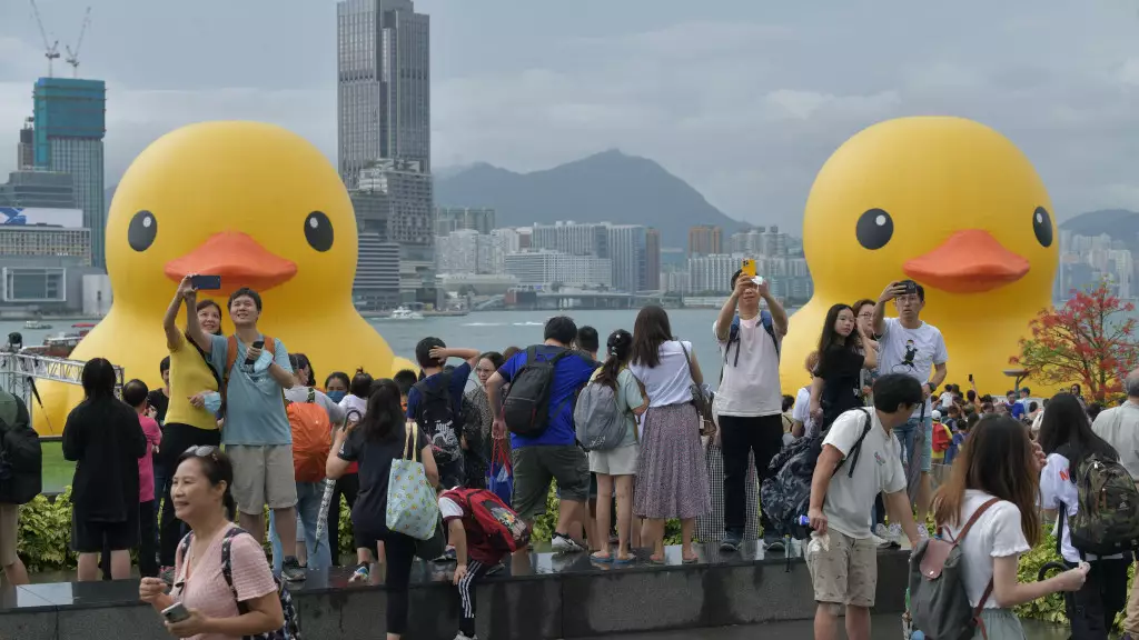 維港橡皮鴨展覽6月18日完結,早上有市民冒雨前來打卡。