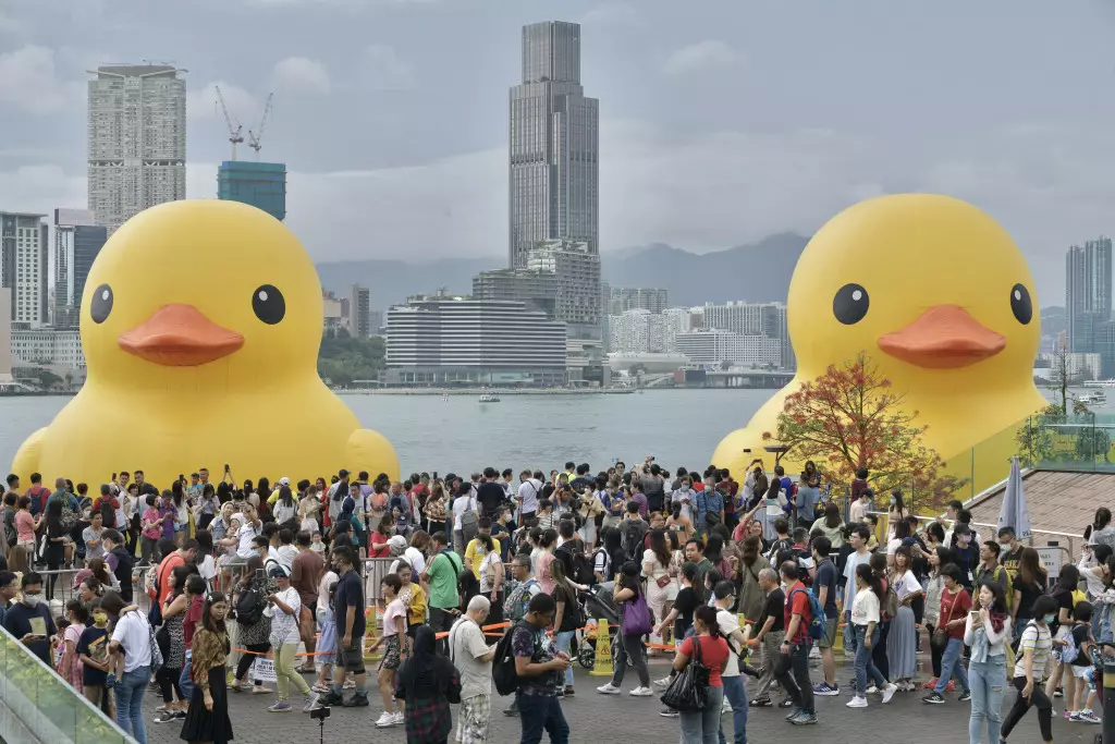 維港橡皮鴨展覽6月18日完結,早上有市民冒雨前來打卡。