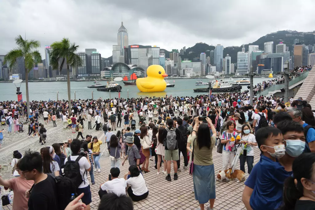許多市民爭相欣賞鴨子的最後身影。