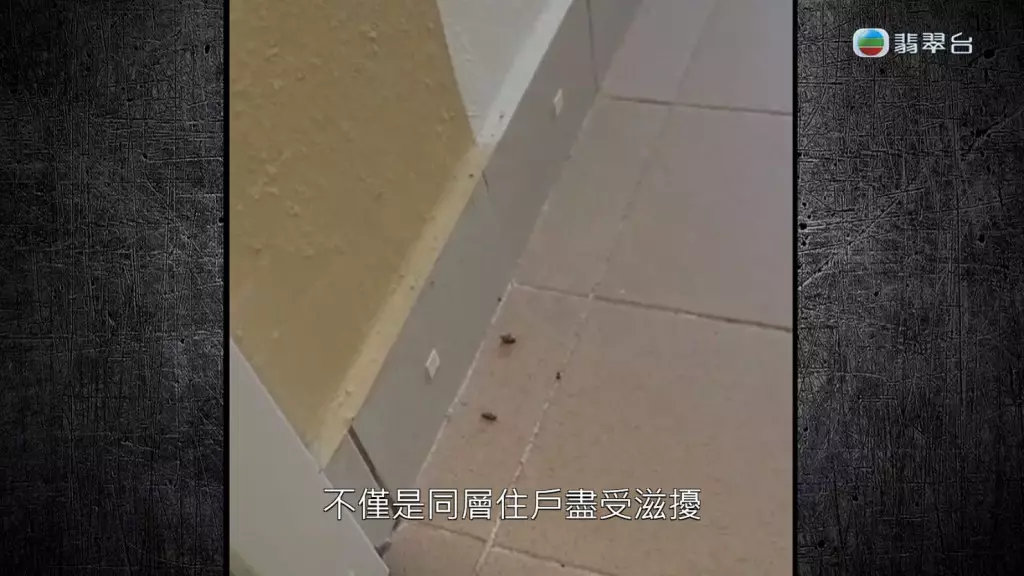 造成衛生問題。