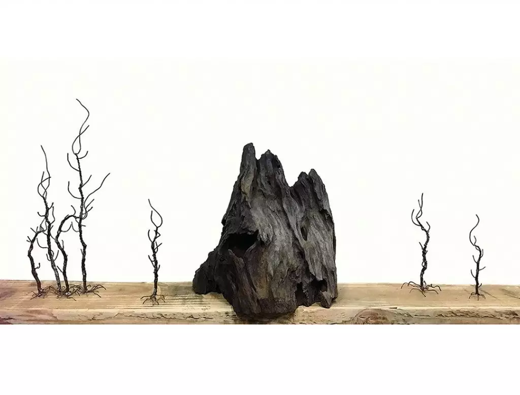 《木石清華》藝術家:楊國芬