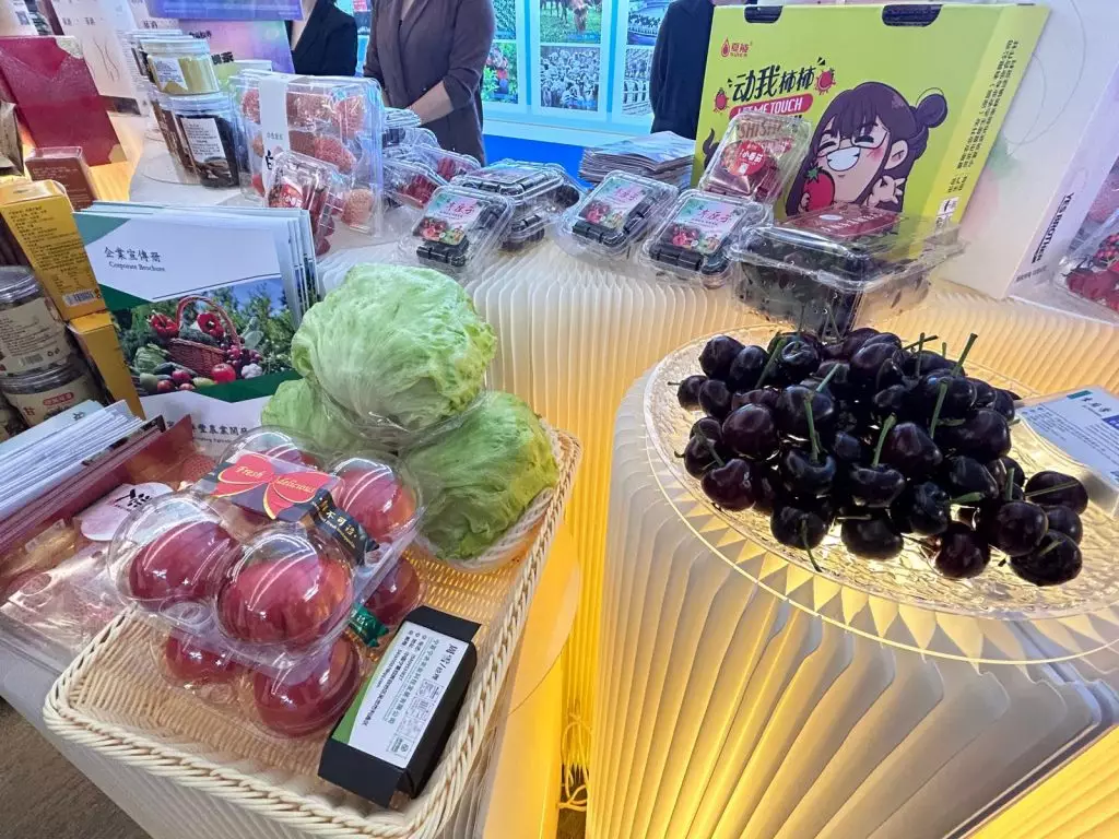 寧港合作諮詢委員會於正式成立,同日舉辦首場商務推介會。巴士的報記者攝