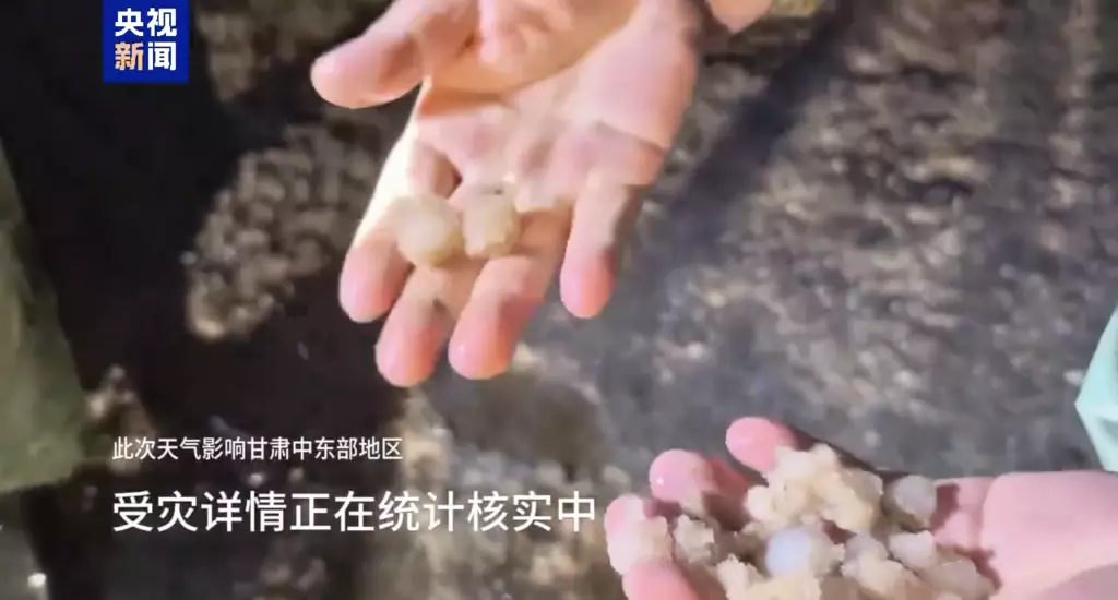 央視新聞