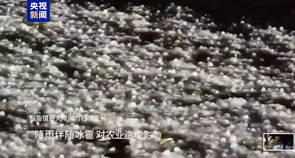 央視新聞