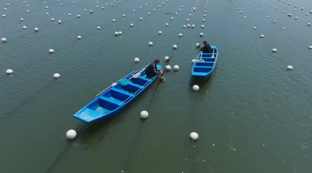 影片截圖