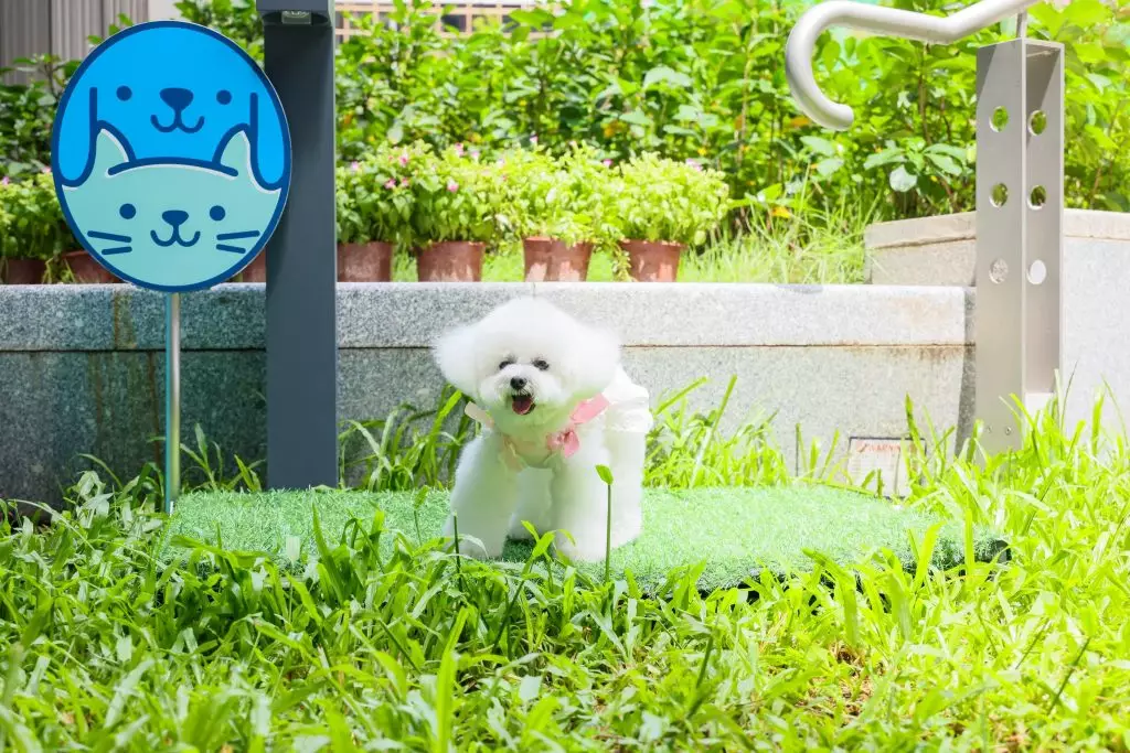 貓狗專用廁所及便便收集處。