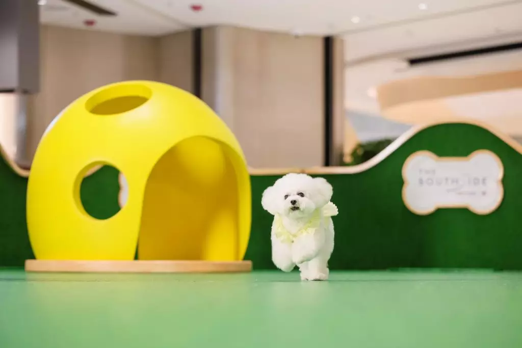 「SUMMER PAWTY」室內貓狗樂園。