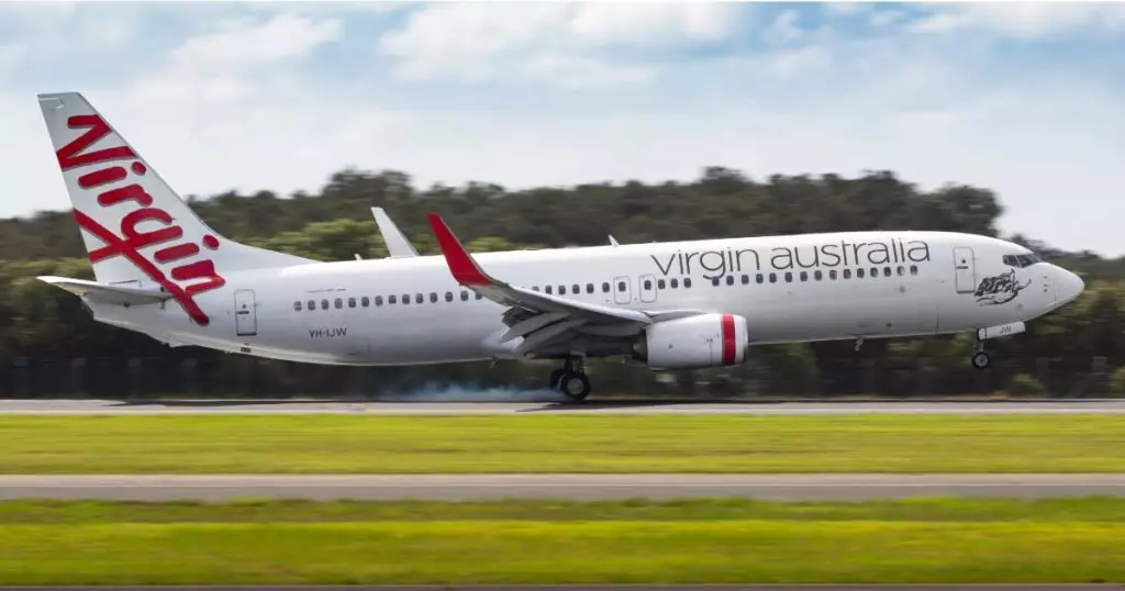 60厘米綠樹蛇「偷渡」延誤澳洲航班2小時。FB圖片@Virgin Australia