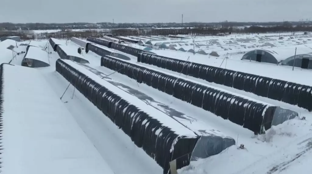 河南暴雪農民用無人機「吹雪」守護溫室蔬菜