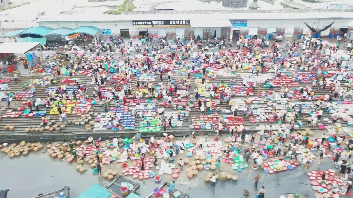 After the end of the fishing moratorium, activity in the ports of Guangdong is increasing again