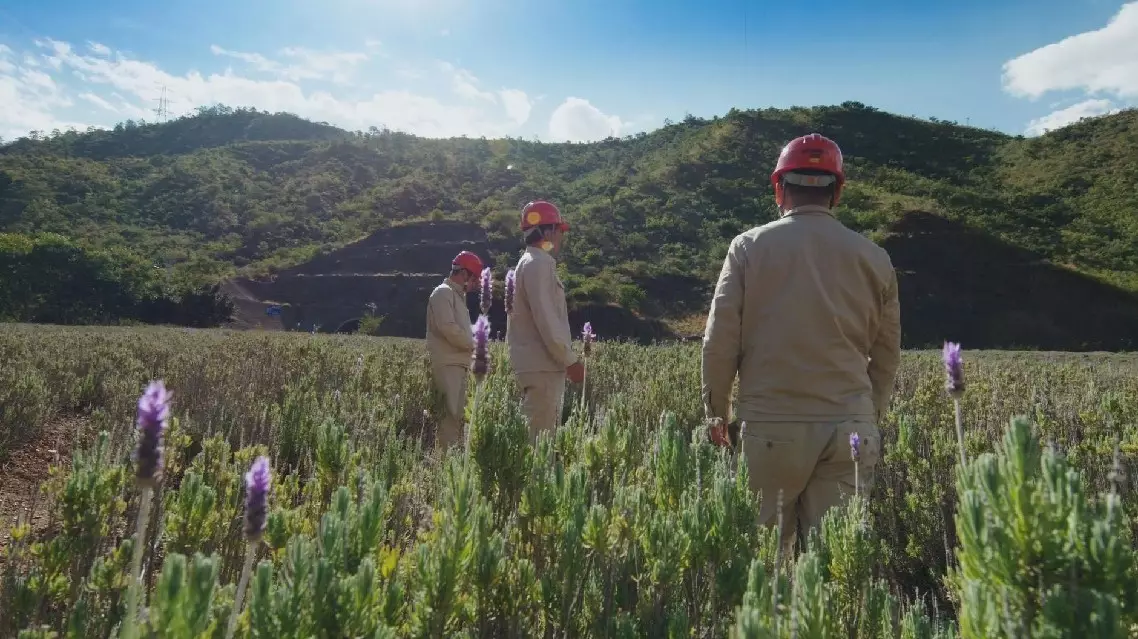 Engineers integrate hydroelectric power plant on the Yangtze into the surrounding environment