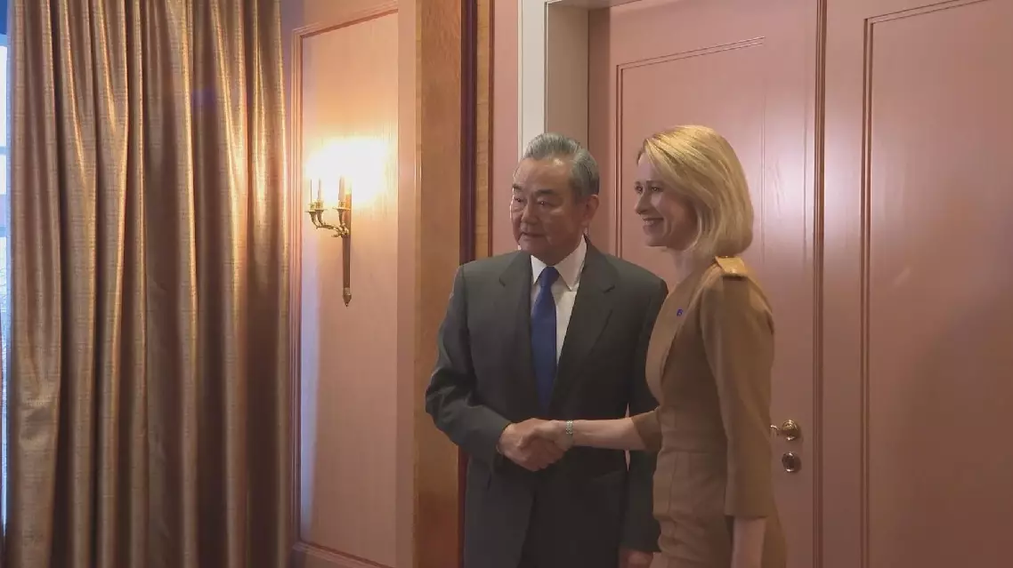 China, EU should continue to be strategic partners with mutual respect, trust: FM