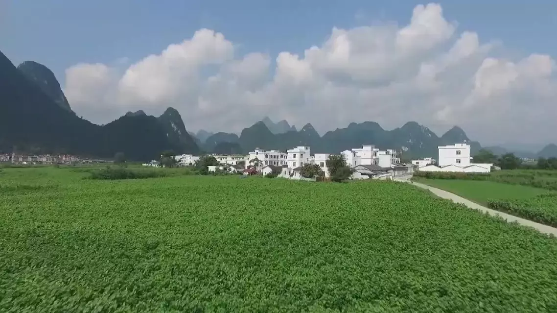 Specialty agriculture puts rural Chinese villages on road to prosperity