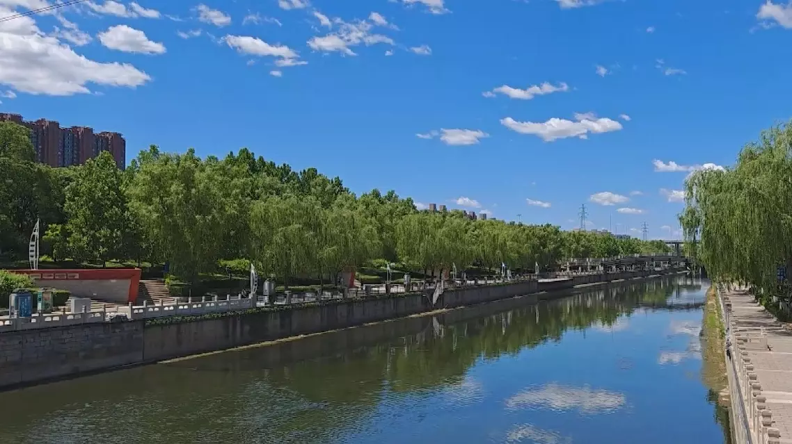 Int’l students on more concrete actions for greener development ahead of Boao Forum