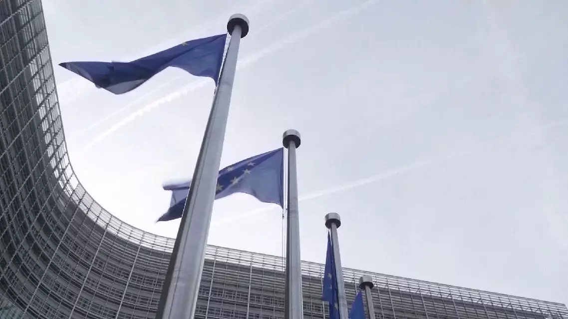 EU to join hands with China, other countries to counter US tariffs: analyst