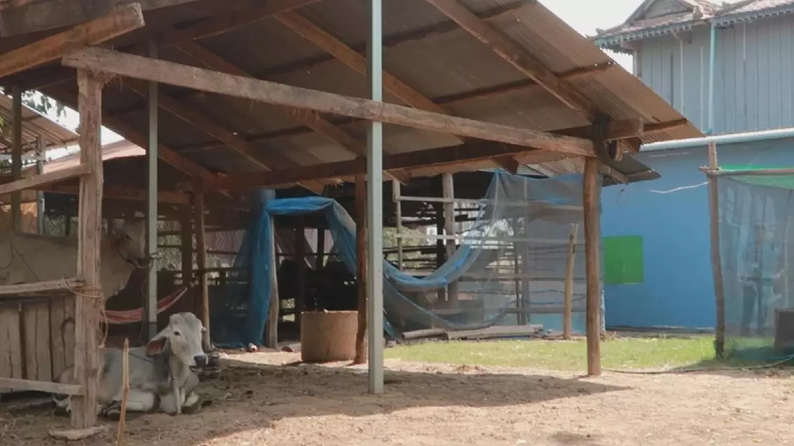 Chinese agricultural program improves village livelihoods in southeastern Cambodia