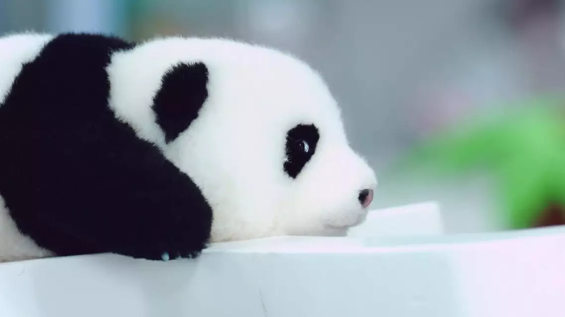 Creative products of giant panda a thriving industry in Chengdu