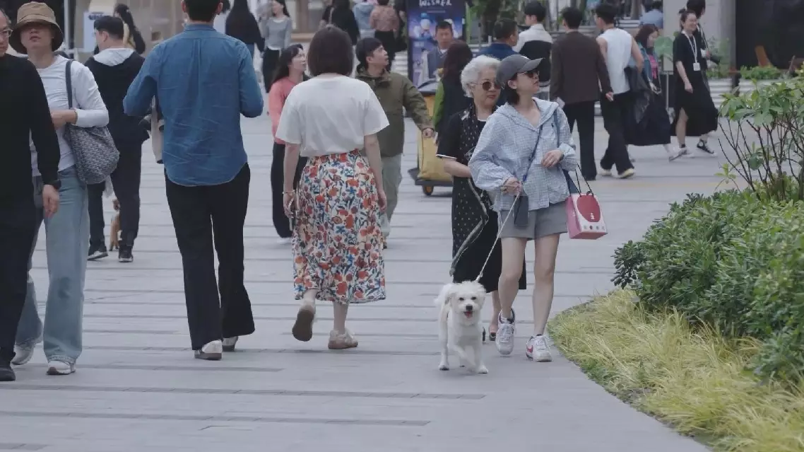 Thriving pet economy brings more pet-friendly spaces, pet-specific services in Shanghai