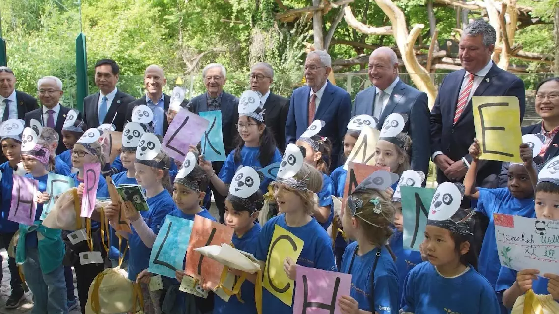 Panda pair debuts at Vienna's Schoenbrunn Zoo, receiving warm welcome