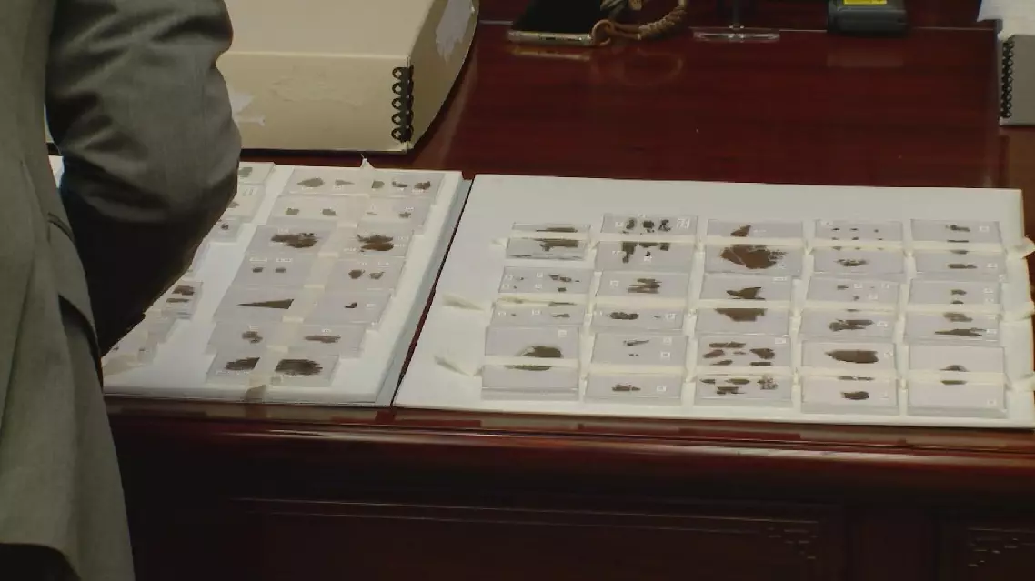 U.S. museum returns to China ancient silk manuscript volumes from Warring States period