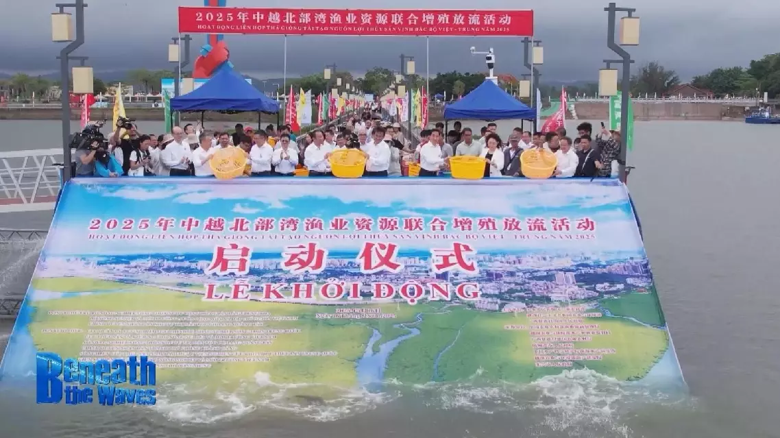 China, Vietnam strengthen marine conservation through joint fish stocking initiative