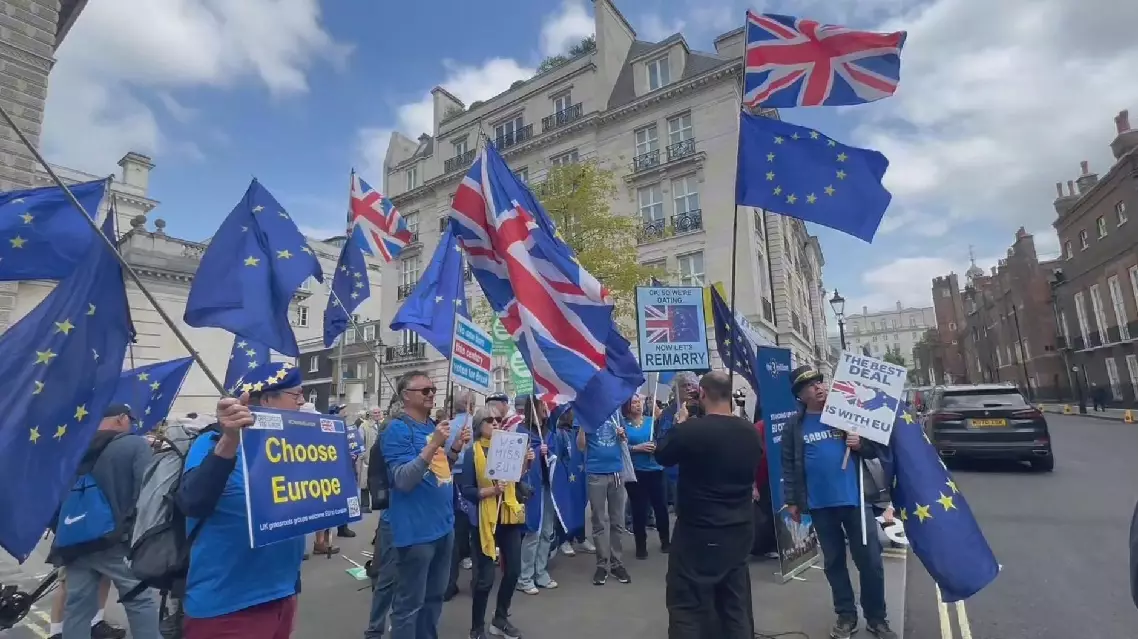 Anti-Brexit protesters rally in London for UK's return to EU