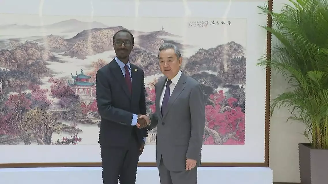 Chinese FM meets Ethiopian counterpart in Changsha