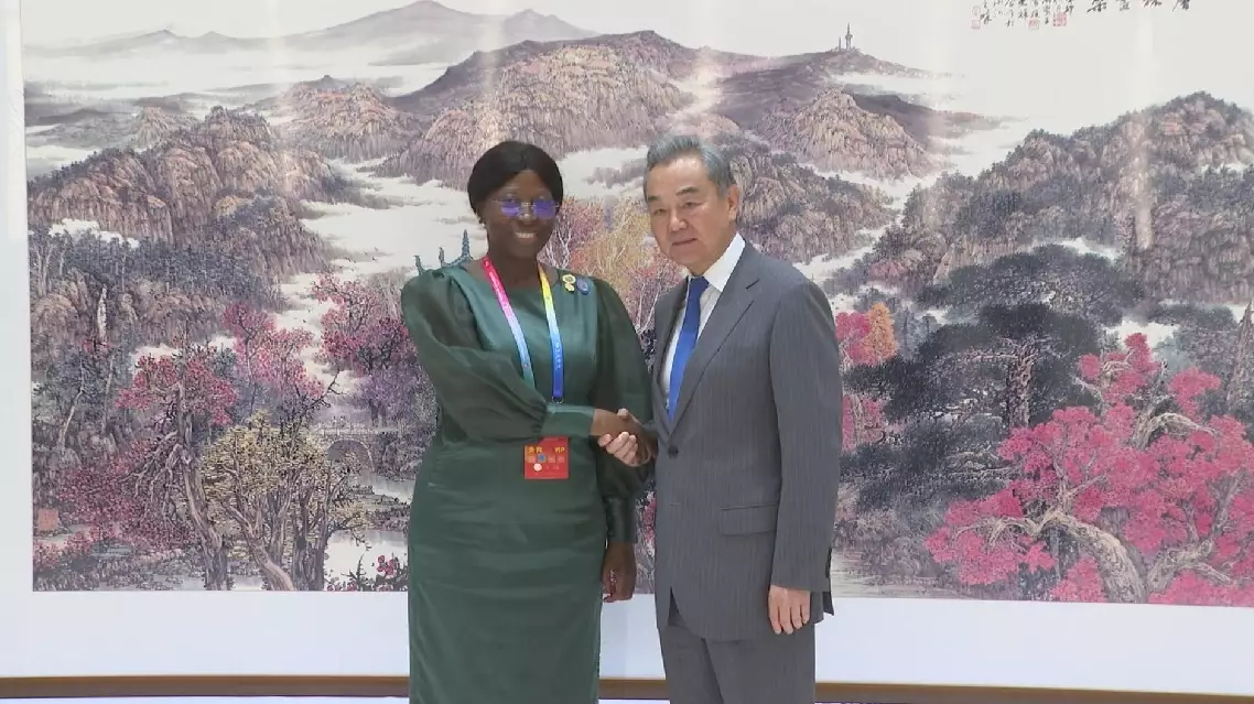 Wang Yi meets with Mozambican foreign minister