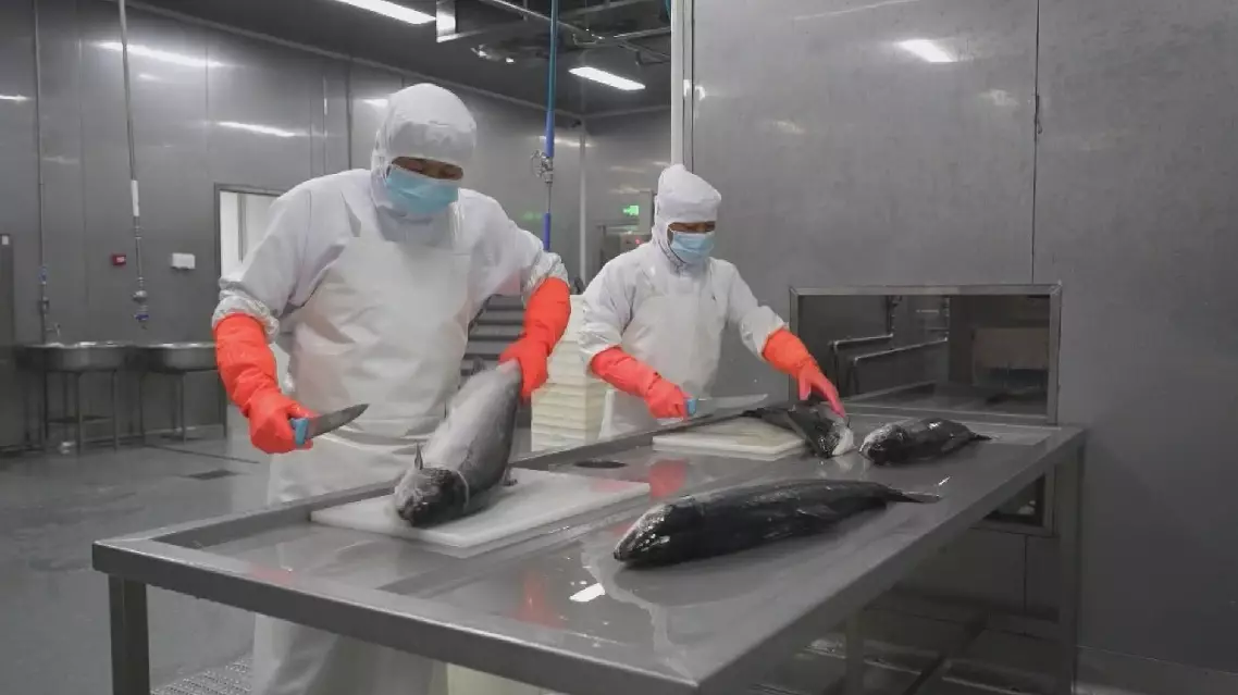 China's cold-chain logistics sector expands steadily in H1