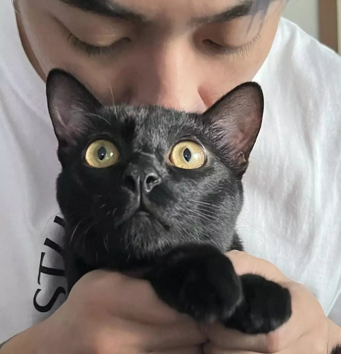 Tyson與愛貓