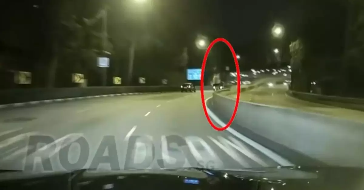 Singapore driver captures longhair ‘ghost’ standing on road divider at night