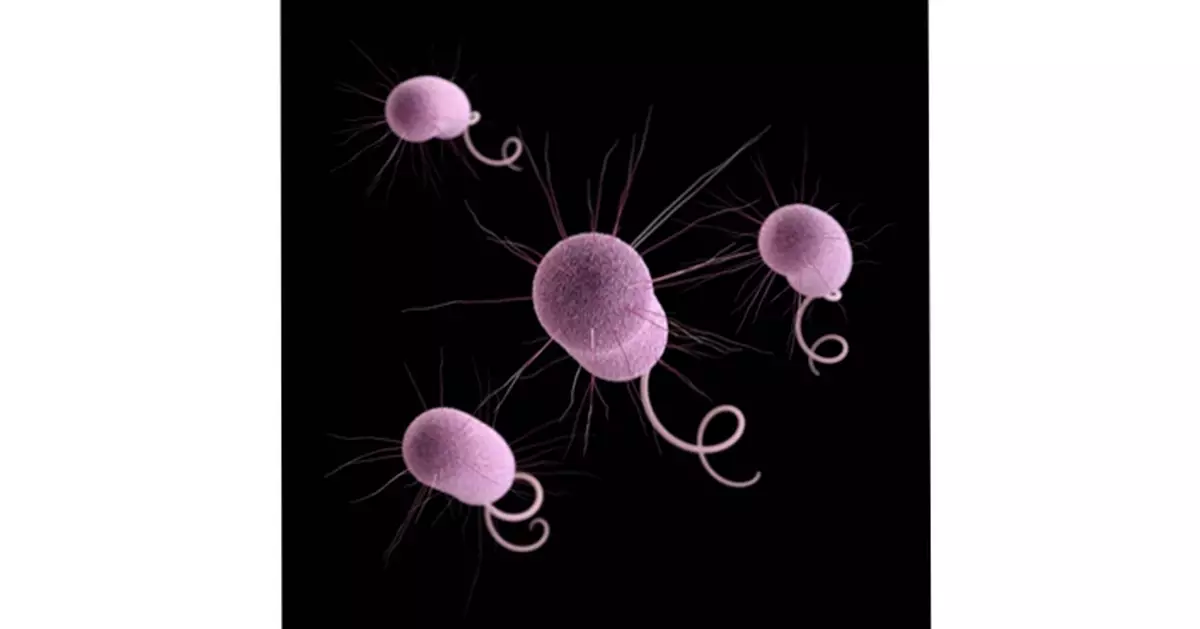 CDC: Drug-resistant 'nightmare bacteria' pose growing threat