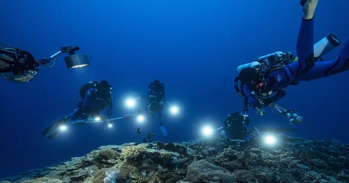 Rare, pristine coral reef found off Tahiti coast