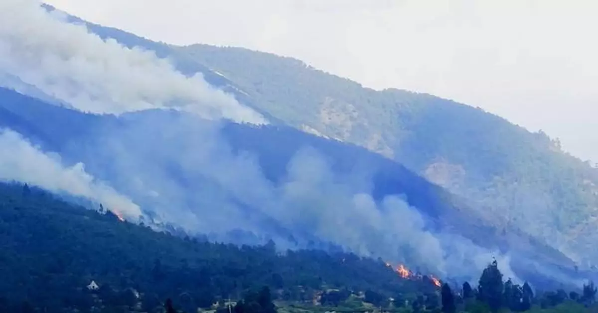 Forest fire contained in China's Yunnan, no casualties reported