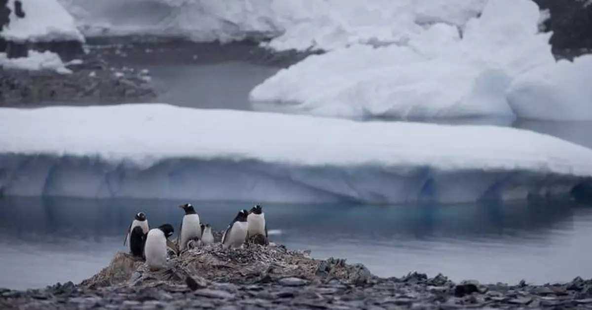 In message to Russia, Chilean lawmakers meet in Antarctica to underline territorial claims