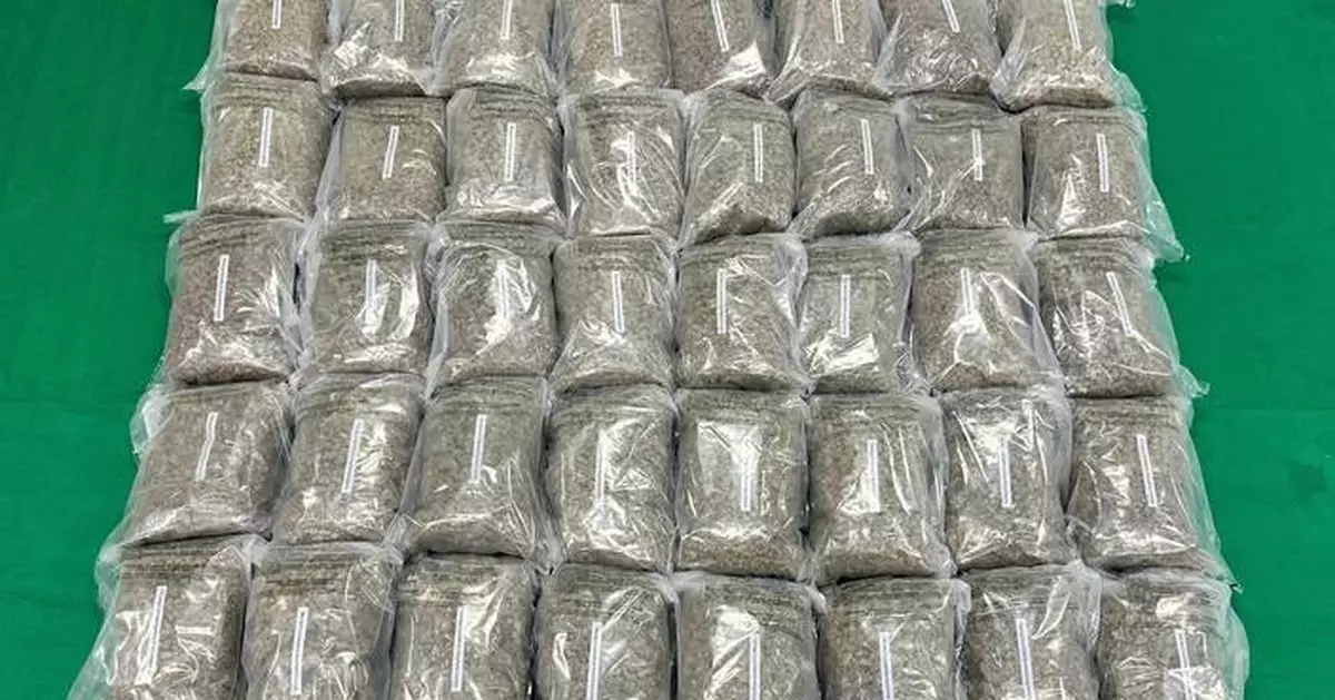 Hong Kong Customs seizes suspected cannabis buds worth about $16 million