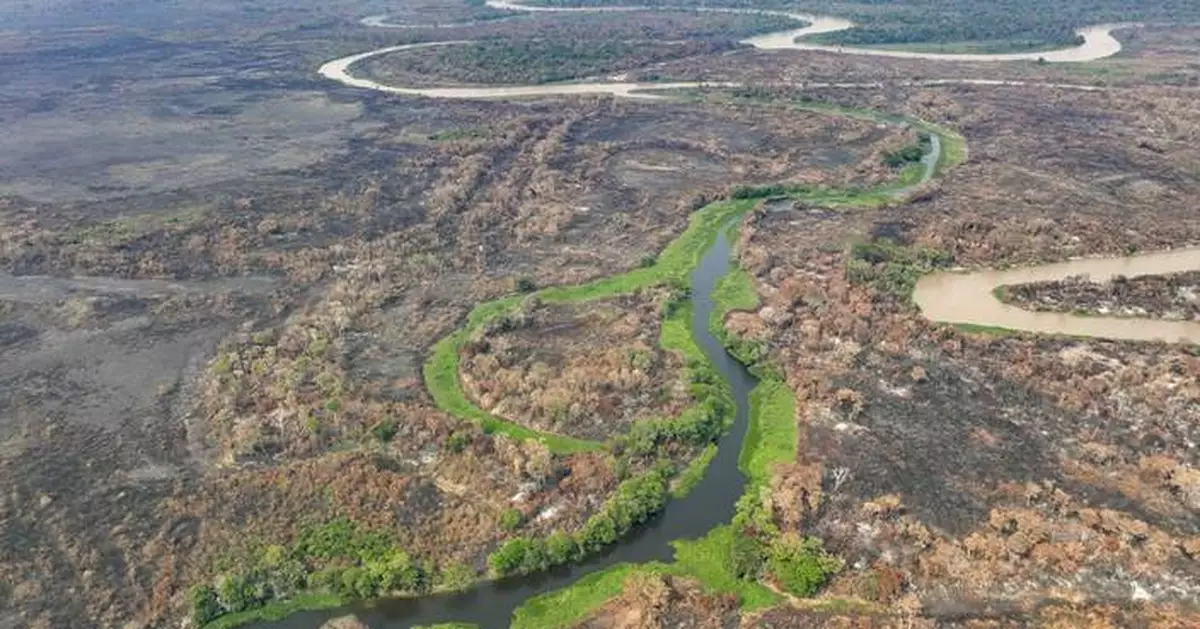 Brazil's Pantanal wetlands fire season hasn't officially started but it's already breaking records