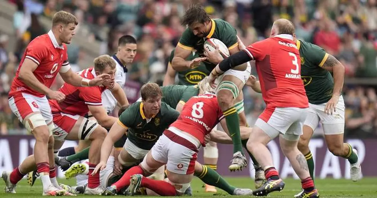 Springboks overcome battling Wales and pull away to win 41-13 at Twickenham