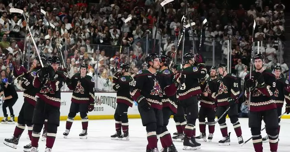 Coyotes' bid for new arena hits another snag with cancelation of land auction