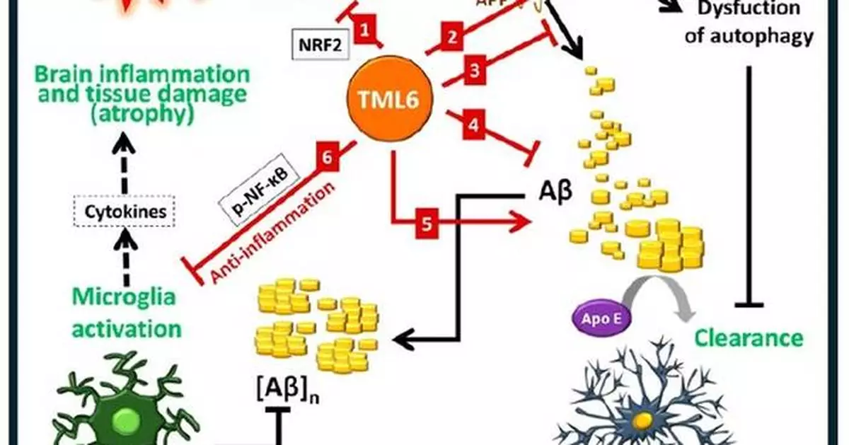 Mlb Announces Ind Approval By Us Fda To Initiate Phase 1 Trial Of Tml 6 A New Era Multi Target 3177