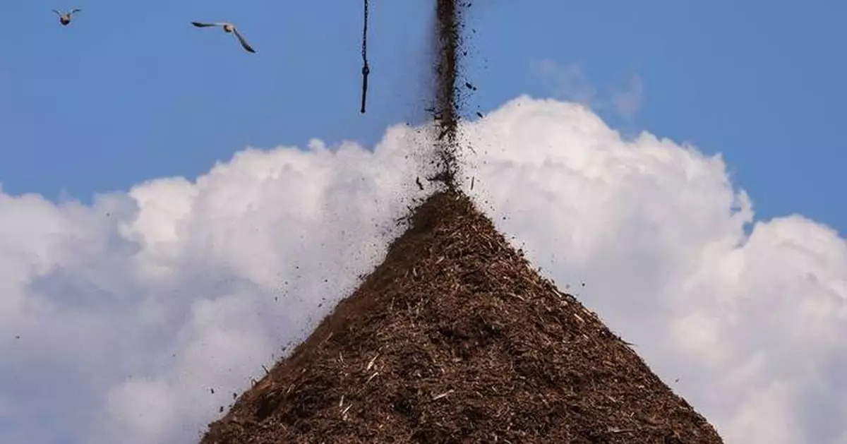 Wood pellets production boomed to feed EU demand. It's come at a cost for Black people in the South