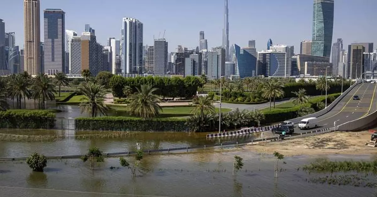 Floods and climate change blamed for surge in dengue in the Emirates as WHO warns of global spike