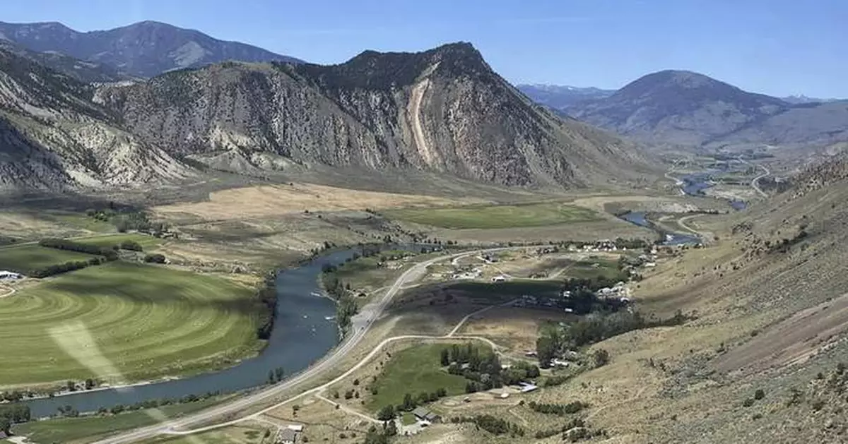 A man kills a grizzly bear in Montana after it attacks while he is picking berries